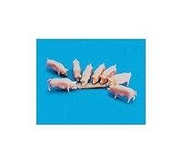Model Scene OO Pigs & Troughs