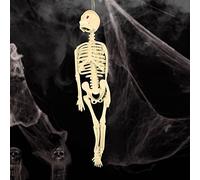 Model Skeleton Body Toy Scary Educational Decor for Kids, Fun Chicken Ornament for Halloween and Classroom Use, Perfect for Learning and Play