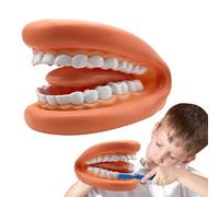 Model, Teeth Model | Portable Sweet | Portable Educational Teeth Model, Flexible Model for Kids, Adults and Classroom Students