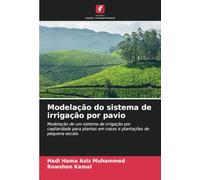 Modelação do sistema de irrigação por pavio: Modelação de um sistema de irrigação por capilaridade para plantas em vasos e plantações de pequena escala