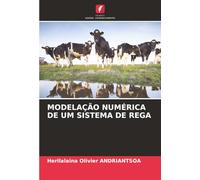 MODELAÇÃO NUMÉRICA DE UM SISTEMA DE REGA