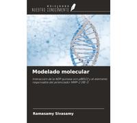 Modelado molecular: Interacción de la NDP quinasa con pBR322 y el elemento responsable del potenciador MMP-2 (RE-1)