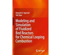 Modeling and Simulation of Fluidized Bed Reactors for Chemical Looping Combustion