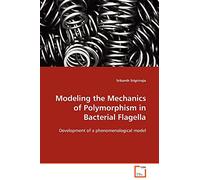 Modeling the Mechanics of Polymorphism in Bacterial Flagella: Development of a phenomenological model