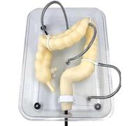 ModelIntestine Model, Colonoscopy Examination Model, Medical Colon Model, Colon Suturing Practice, Clear Internal Structure, Soft Virtual Colonoscopy Training Model for Nursing Medical Training.