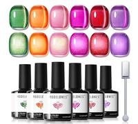 Modelones Cat Eye Gel Nail Polish 6 Colors Neon Galaxy Pink Cat Eye Gel Polish With Magnet Orange Purple Red Nail Kit Soak OFF Nail Art Manicure Salon DIY Gift For Women