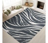 Modern Abstract 80 x 150 cm Area Rug, Carpet Non-Slip Washable Rug Mat, Luxurious Delicate Artistic Minimalist Black White Texture Resistant Short Pile Rugs for Living Room Bedroom
