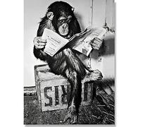 Modern Animal Posters and Prints Canvas Painting Monkey Reading Newspaper with Space Wall Picture Art Banksy Chimp Wall Poster for Living Room Decor UNFRAMED,40x50cm