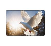 Modern Area Rug 72"X48",Short Plush Ultra Soft Entryway Carpet Washable Non Slip Floor Mats White Dove Flying in The Sun Throw Rugs for Living Room Bedroom Office Dorm Home Decor