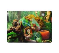 Modern Area Rug, Indoor Rugs,Cute Chameleon Rugs for Bedroom Living Room Extra Soft and Comfy Carpet and Perfect for Hardwood Floors 80 X 58 in