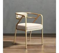 Modern Armchair Set for Cafe Restaurant & Reception Stylish Waiting Room & Dining Room Seating (Color 2 2 Pieces)
