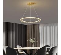 Modern Black 1/3 Ring LED Dimmable Chandelier - Contemporary Ceiling Pendant Light for Living Room, Restaurant