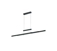 Modern Black LED Extendable Chandelier TR018