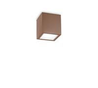 Modern Brown Outdoor Spotlight Ceiling Light Garden Veranda DL1651