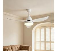 Modern Ceiling Fan with Light 6-Speed,2/4/8-Hour Timer, Energy Saving,Reversible, Noiseless, Ceiling Fan Small for Bedroom,Living Room