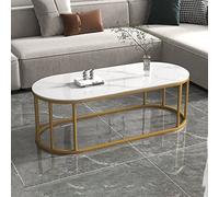 Modern Center Table Living Room Table with Storage Shelf Oval Coffee Table with Sintered Stone Top & Metal Steel Frame Base Easy Assembly Sofa Table Tea Table for Living Room Office Cafe Bar