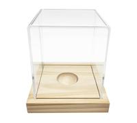 Modern Clear Softball Display Case With Solid Wood Base Storage For Office & Sports Fans Portables Softball Exhibition Container