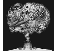 Modern Color - There Goes The Dream [Vinyl LP] [VINYL]