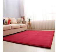 Modern Coral Fleece Area Rug for Living Room & Nursery Washable NonSlip Soft Mat for Kids 2cm Thick Carpet Ideal for Boys & Girls80x180cm