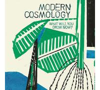 Modern Cosmology - What Will You Grow Now?