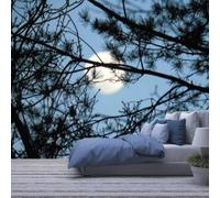 Modern Creative 3D Wallpaper Wall Mural, Plants Trees Moon Landscape 368(W) X254(H) Cm Wall Mural | Self-Adhesive Large Wallpaper for Boys Girls Bedroom Living Room Tv Backdrop Decor-3318171
