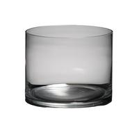 Modern Cylindrical Large Glass Fish Tank Living Room HD Glass Fish Tank Turtle Tank Aquarium Desktop Display(20x20cm)