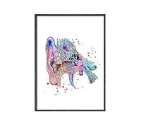 Modern Decoration Canvas Painting Anatomy Art Medical Inner Ear Cochea Poster Print Student Education Hearing Hospital Pictures (Color : E, Size : 50x70CM No Frame)