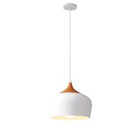 Modern Decorative Crafts Chandelier, Single Head Pendant Light in Trendy Colours, Traditional Color Hanging Lamp, Minimalist Nordic Lighting Fixture for Restaurant, Dining Room, Bedroom, Kitchen, Bar(