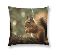 Modern Decorative Throw Pillow Cover 12 "x12 Soft Plush Pillow Case Wildlife Forest Squirrel Farmhouse Cushion Cover with Hidden Zipper for Couch Sofa Bed Outdoor Home Decor