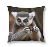 Modern Decorative Throw Pillow Cover 18 "x18 Soft Plush Pillow Case Monkey Lemur Cute Farmhouse Cushion Cover with Hidden Zipper for Couch Sofa Bed Outdoor Home Decor