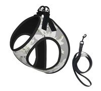 Modern Edelweiss Swiss Alpine Flowers,Pet Harness,Adjustable Reflective Dog Harness,Pet Leash Vest,M