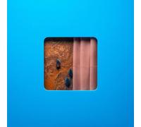 Modern Error - Victim Of A Modern Age