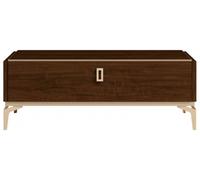 Modern Eva Walnut Italian Storage Coffee Table with Gold Trim