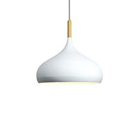 Modern Farmhouse Pendant Light 15.7in Colored Single Head Chandelier Elegant Nordic Lantern for Kitchen Island Dining Room Hallway Industrial Lighting Fixture