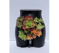 Modern Female Form Decor Planter - Great Gift for Women, Funny Vase, Boho Bathroom Decor, Bikini Wax Design With Drainage Holes for Succulents, Air Plants, Cactus (Black)