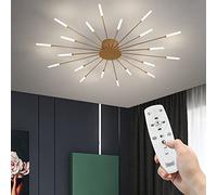 Modern Fireworks Ceiling Light With Remote Control, LED Creative Flower Shape Ceiling Lamp Fixture Nordic Semi-Flush Mount Acrylic Ceiling Lighting For Living Dining Room Bedroom (Gold,20-Light)