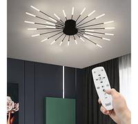 Modern Fireworks Ceiling Light With Remote Control, LED Creative Flower Shape Ceiling Lamp Fixture Nordic Semi-Flush Mount Acrylic Ceiling Lighting For Living Dining Room Bedroom (Black,28-Light)