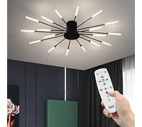 Modern Fireworks Ceiling Light With Remote Control, LED Creative Flower Shape Ceiling Lamp Fixture Nordic Semi-Flush Mount Acrylic Ceiling Lighting For Living Dining Room Bedroom (Black,18-Light)