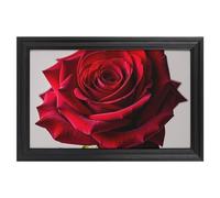 Modern Framed Canvas Wall Art - Classic European Style, Vintage Artwork Prints Ready to Hang Wall Decor, Elegant Red Rose Art Print for Living Room Hallway Decor, 18x12inch(45x30cm)