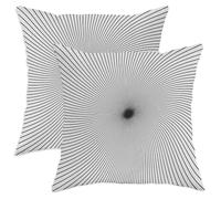 Modern Geometric Throw Pillow Covers Set of 2, Black White Spiral Pattern Cushion Cases, Stylish Decorative Square Covers for Home Sofa Bed Couch 14x14 Inch