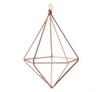 Modern Geometric Wall Bracket for Air Plants Crafted from Iron for Hanging Small Flower Pots Indoors (Rose Gold)