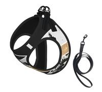 Modern Gold Black White Glitter Marble Geometric Art,Pet Harness,Adjustable Reflective Dog Harness,Pet Leash Vest,L