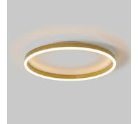 Modern Gold LED Ceiling Light Fixture - Minimalist Low Profile Ring Lamp for Bedroom, Entryway, Hallway, 3 Color Modes, White Design
