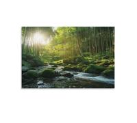 Modern Green Forest Canvas Wall Art, Beautiful Woods Sun River Moss Picture Painting on Canvas, Print Poster Decoration Artwork for Home Living Room Bedroom Wall Decor Uframe 20x30inch(50x75cm)