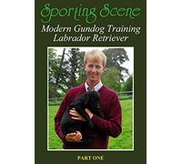MODERN GUNDOG TRAINING LABRADOR RETRIEVER PART 1