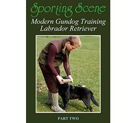 Modern Gundog Training Labrador Retriever Part Two
