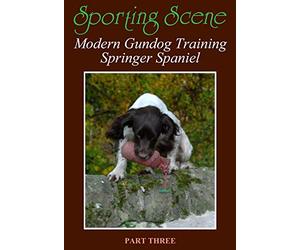Modern Gundog Training Springer Spaniel Part Three For further information go www.sporting-scene.com