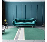 Modern Large Area Rug Irregular Oval Design Washable Non Slip Carpet for Living Room & Bedroom Versatile 80CM x 160CM Size Simple Home Décor Solution