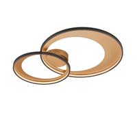 Modern Led Ceiling Light Black Gold Design TR121