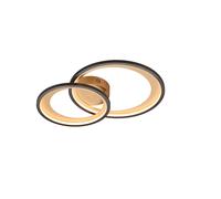 Modern Led Ceiling Light Black Gold Design TR122
